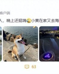 GA黄金甲体育-杨昊发文透露女排近况！时差+饮食成头号敌人，球迷建议轮换阵容