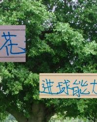 申花进球能力中超第四 但外援没一个进射手前10 真是内援带外援踢