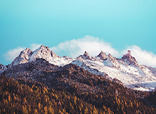 乐鱼体育在线登陆:开启体育娱乐的新纪元